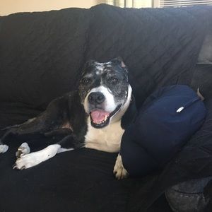 Meet your Posher, Sherrie